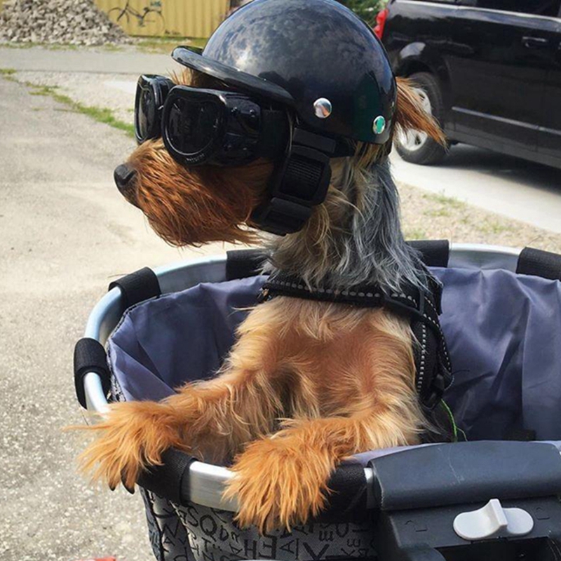 Motorcycle Gear Dogs - Pet Helmets Dog Cat Bicycle Motorcycle