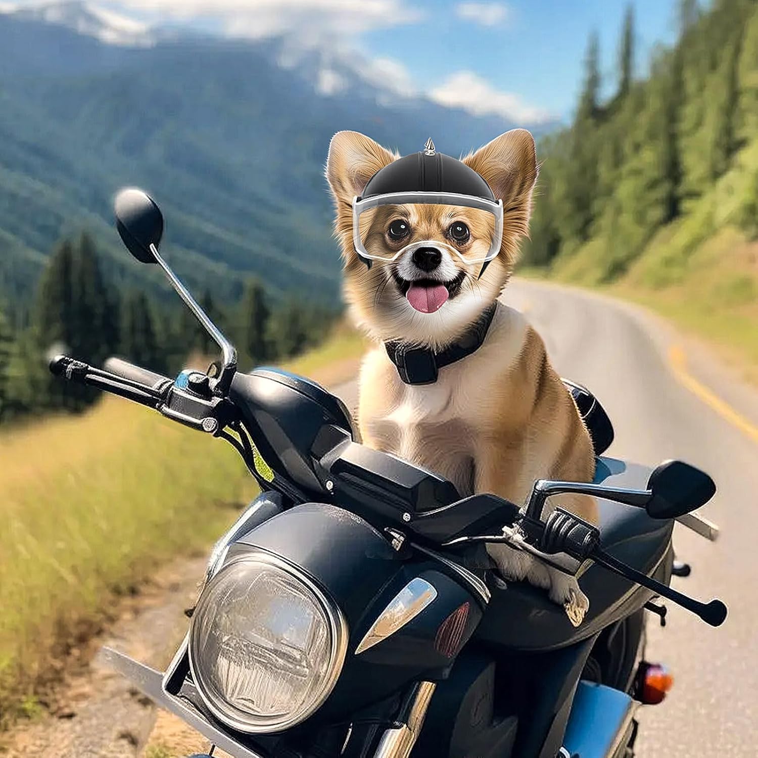 Motorcycle Gear Dogs - Small Dog Helmet Pet Motorcycle Helmet