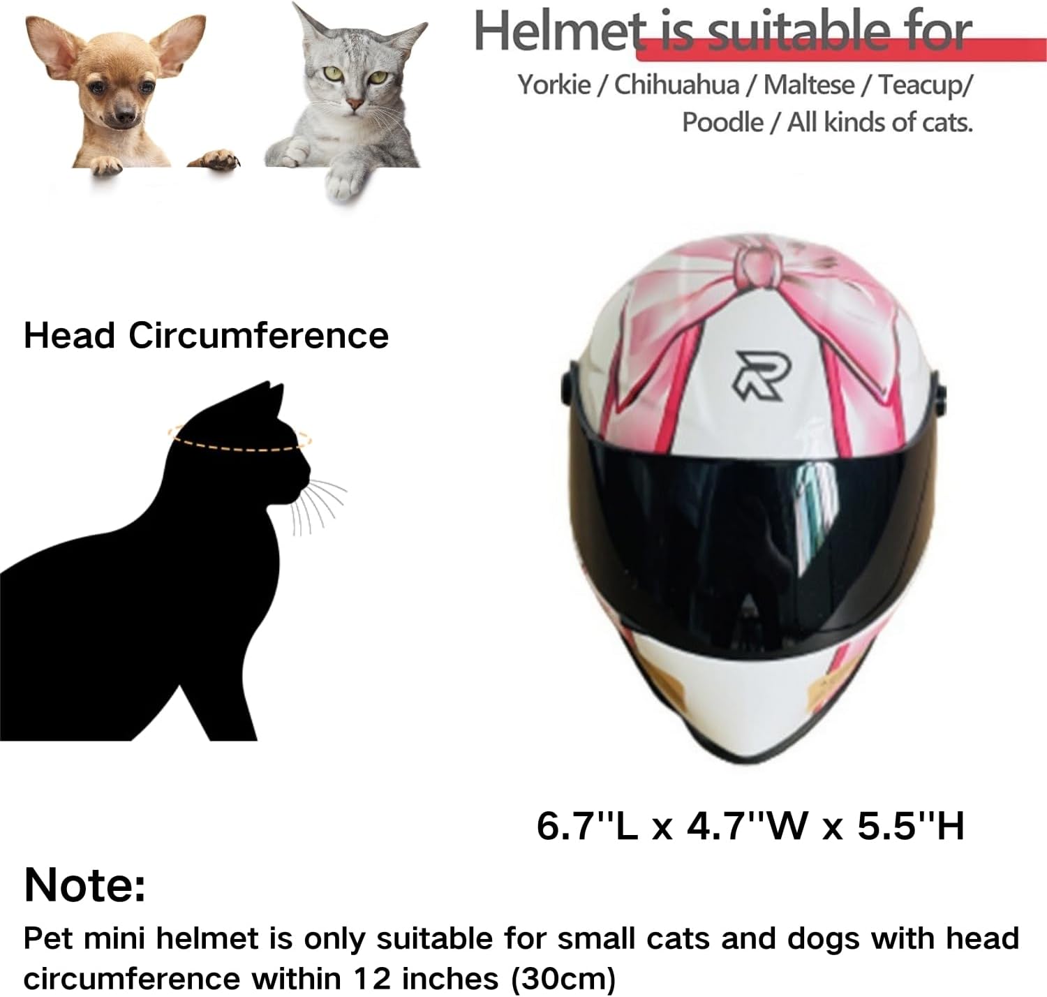Cat Motorcycle Helmet Full Fac - огляд і ціна Motorcycle Gear Dogs