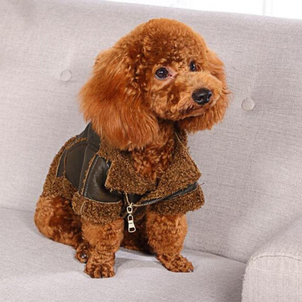 Dog Warm Coat Thickened Dog Le - огляд і ціна Motorcycle Gear Dogs