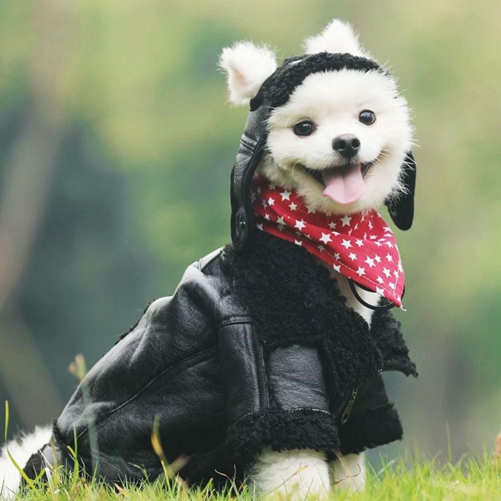 Dog Warm Coat Thickened Dog Le - огляд і ціна Motorcycle Gear Dogs