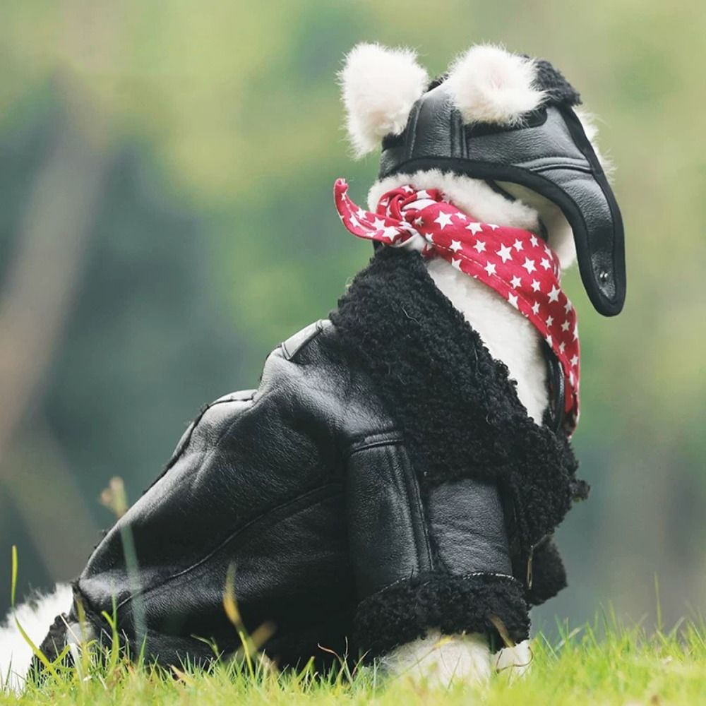 Dog Warm Coat Thickened Dog Le - огляд і ціна Motorcycle Gear Dogs