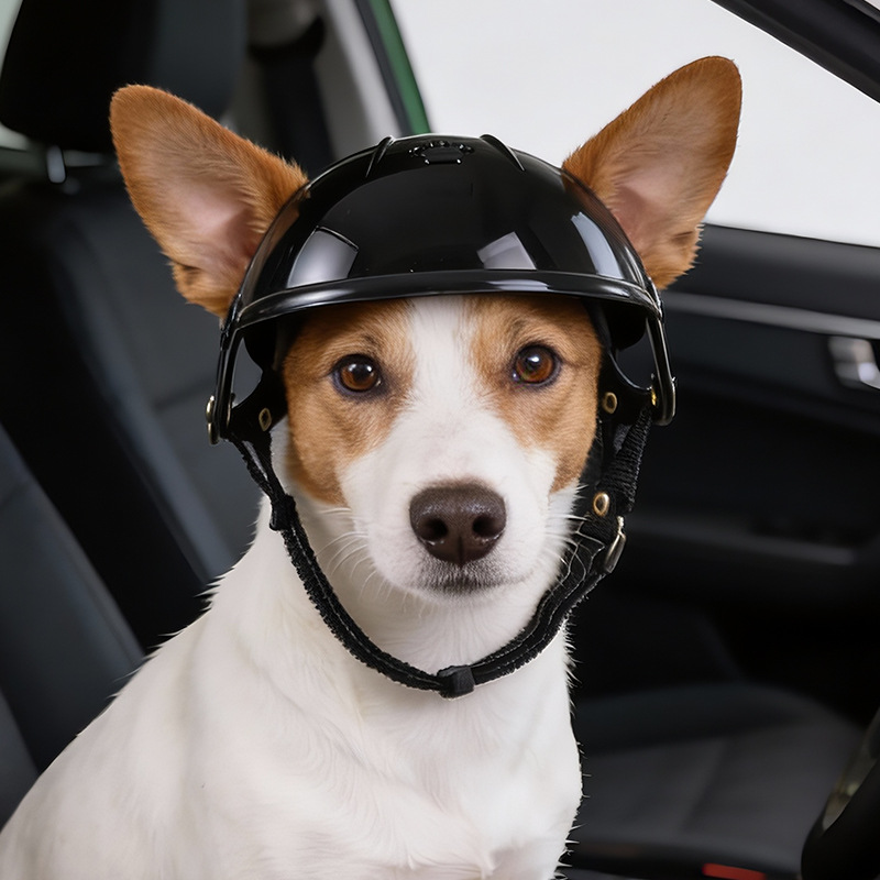 Pet Helmet for Dogs Cats Motor - огляд і ціна Motorcycle Gear Dogs