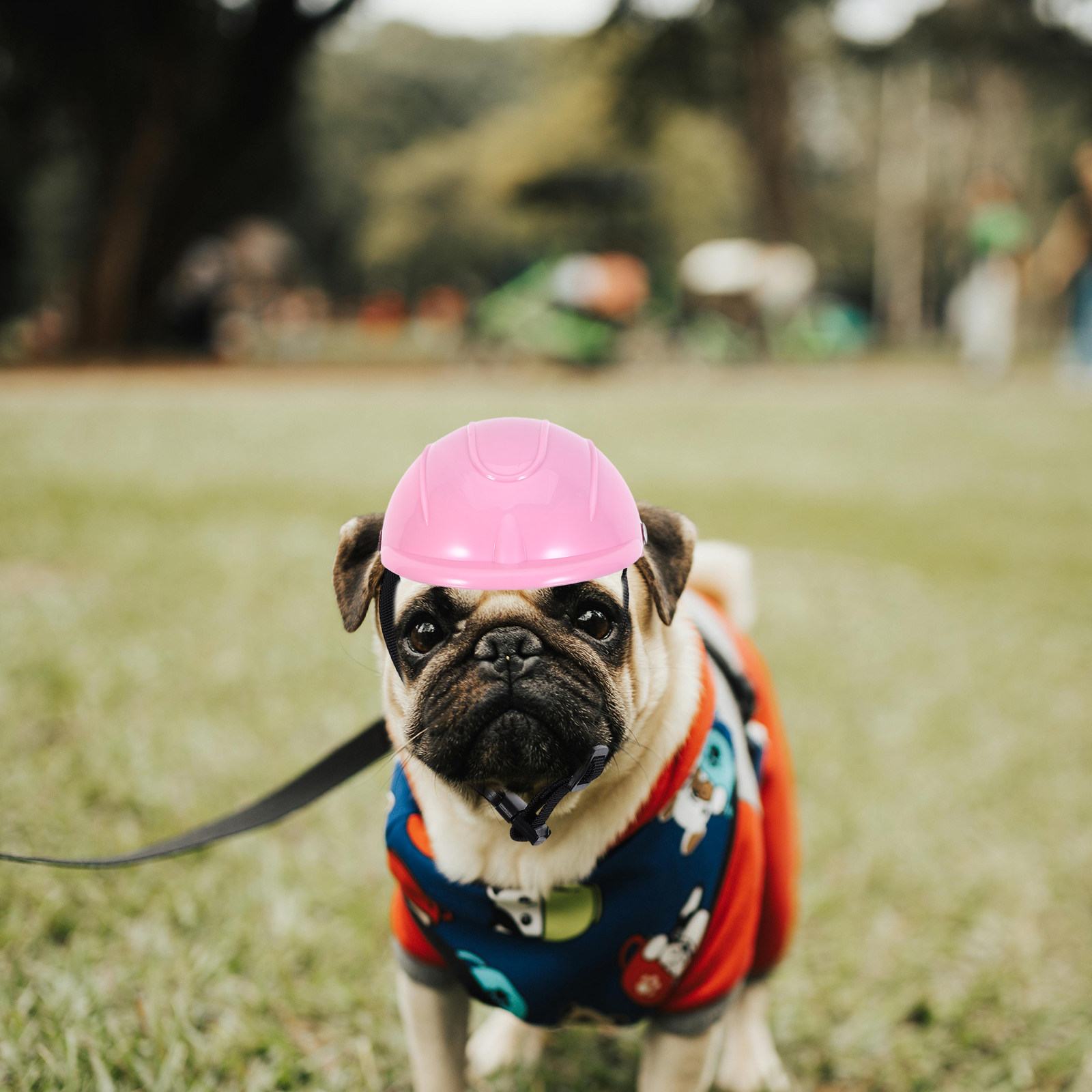 Small Dog Adjustable Pet Safet - огляд і ціна Motorcycle Gear Dogs