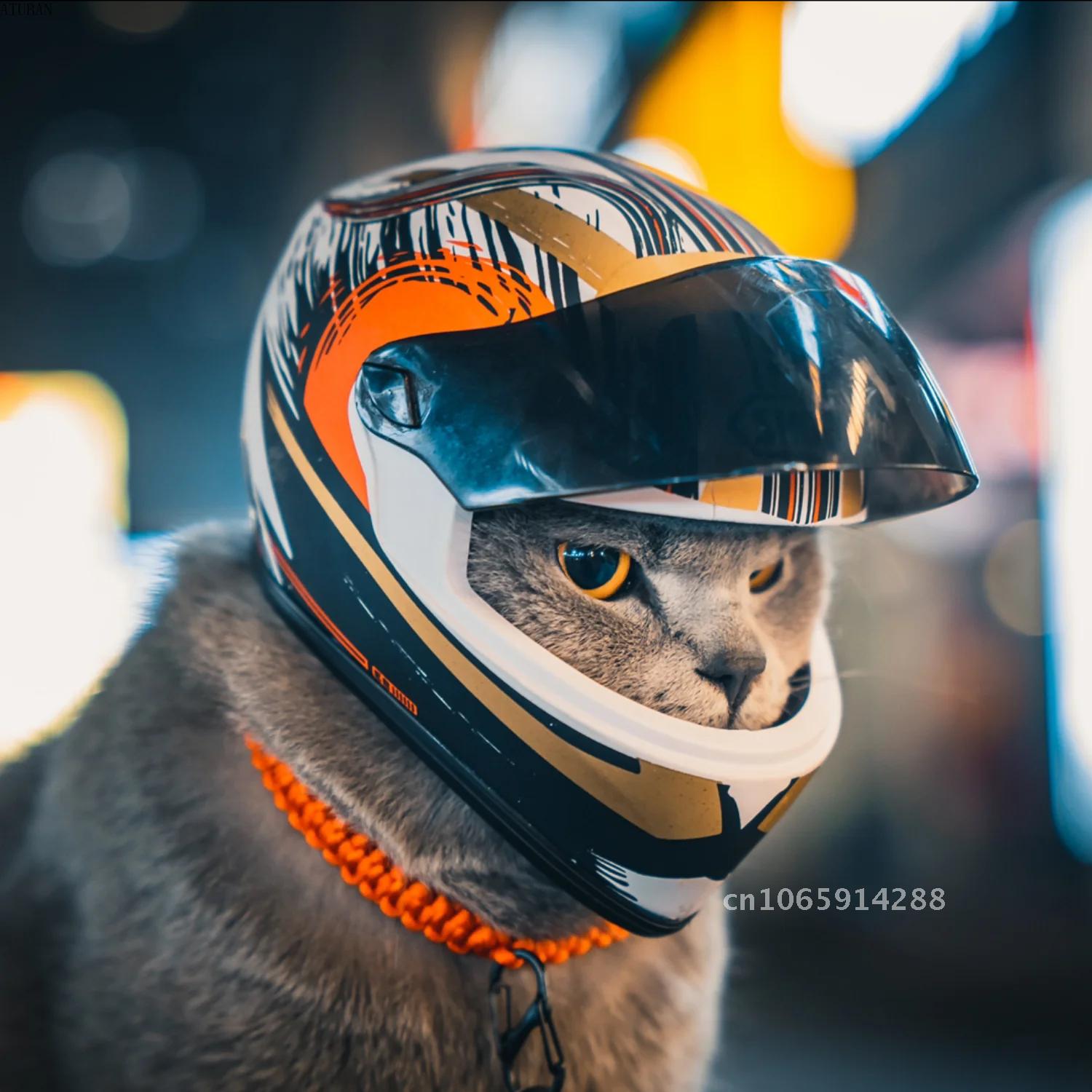 Photo Pet Helmets,Cat Helmet,D - огляд і ціна Motorcycle Gear Dogs