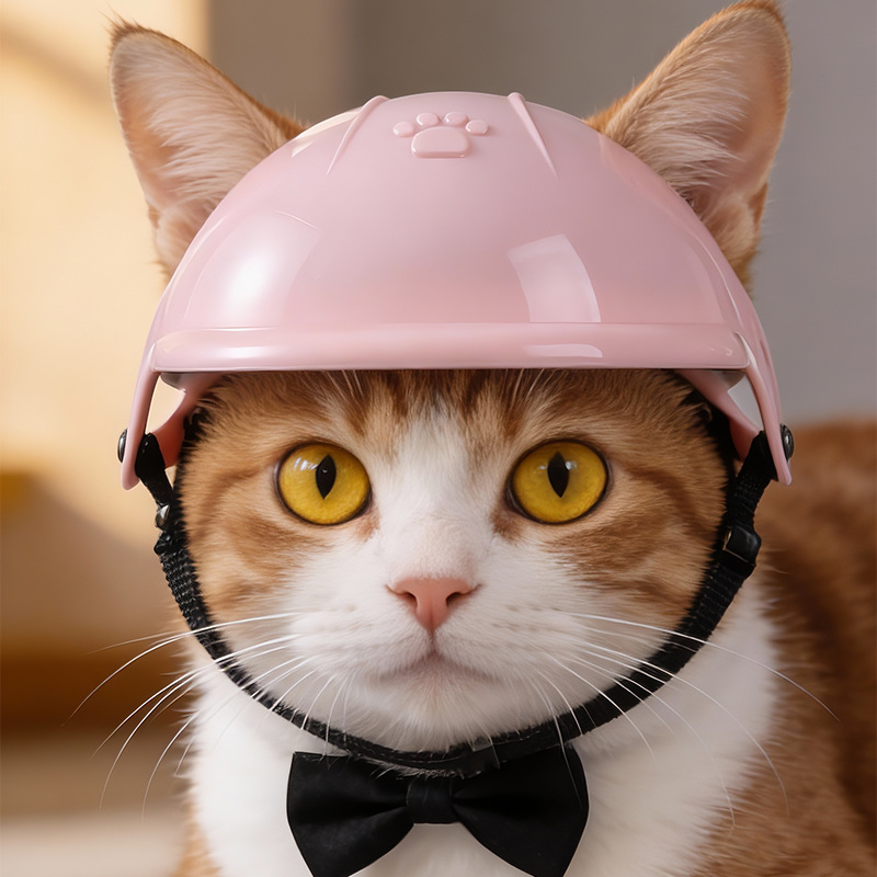 Pet Helmet 3D Paw Print Dogs C - огляд і ціна Motorcycle Gear Dogs
